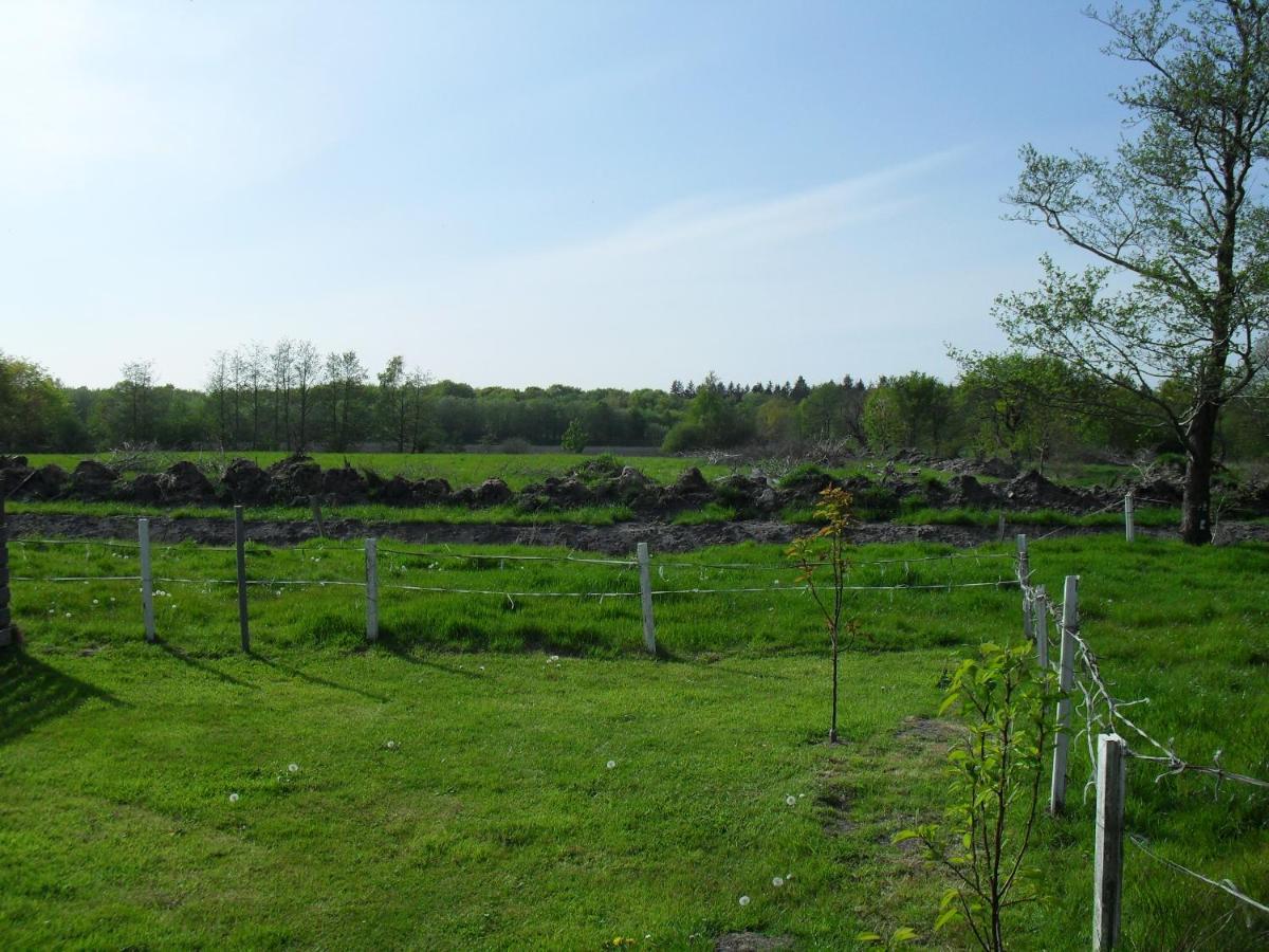 Ferienhof Schlachter Berumbur Kültér fotó